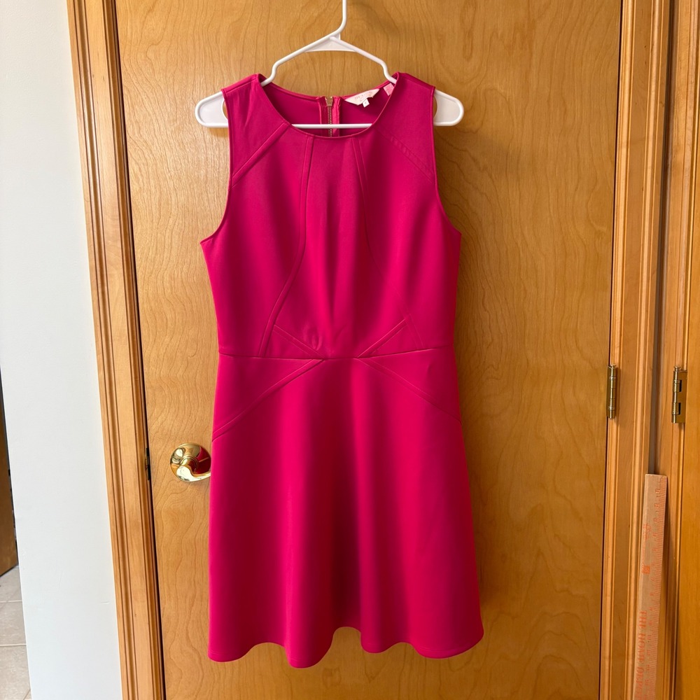 Ted Baker Skater Dress Women 4 Pink Sleeveless Seam Detail Mitton Fit Flare